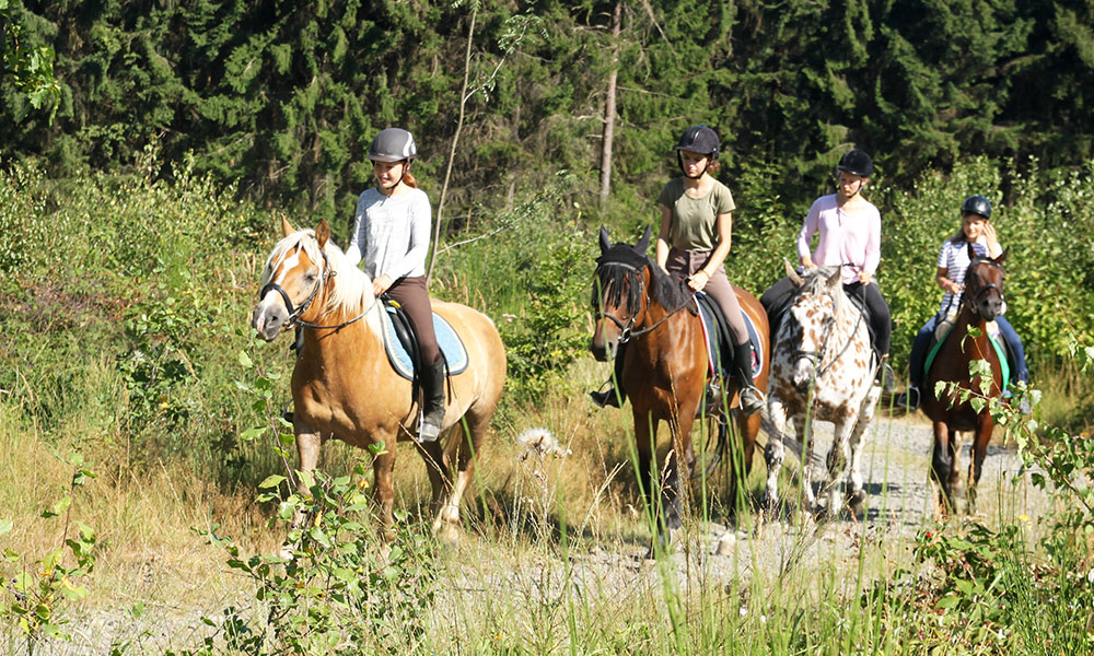 Reiten und vieles mehr ... für Jungen und Mädchen