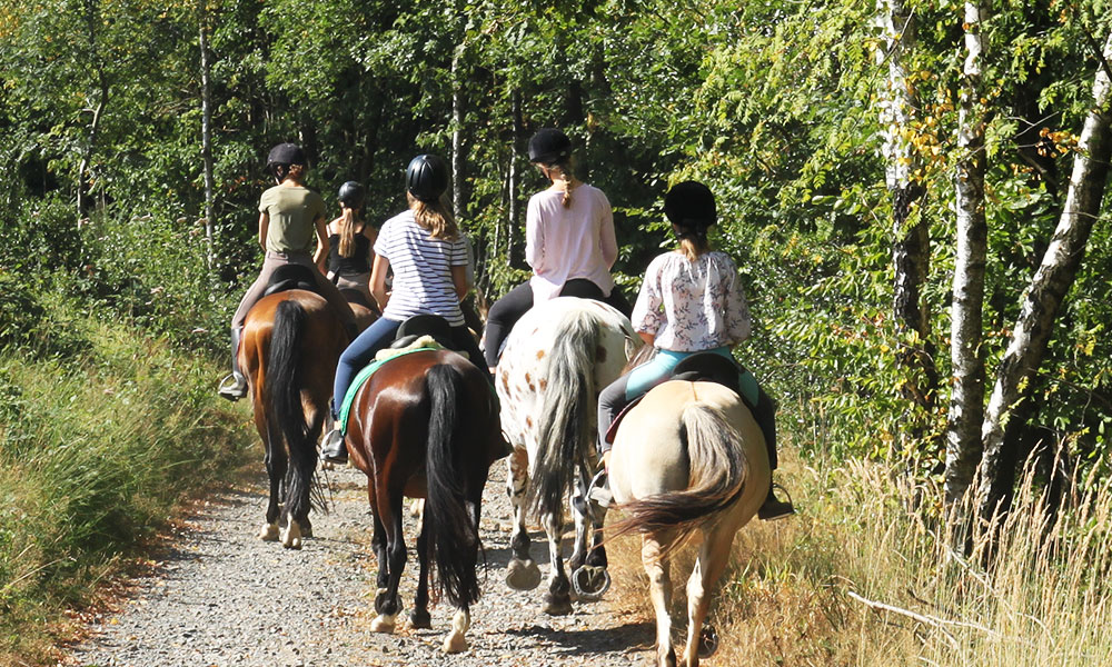 Reiten und vieles mehr ... für Jungen und Mädchen Reiten und vieles mehr ... für Jungen und Mädchen