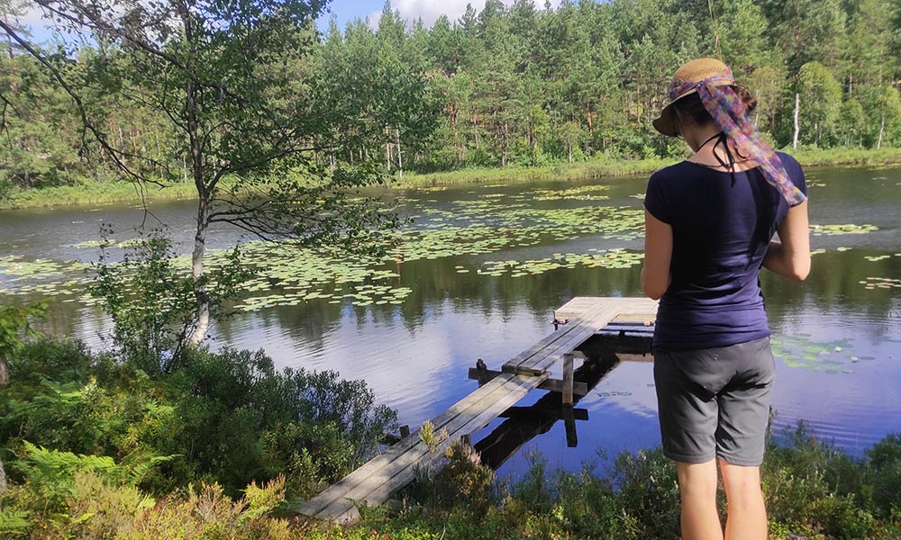 Schweden Wandertour Schweden Wandertour