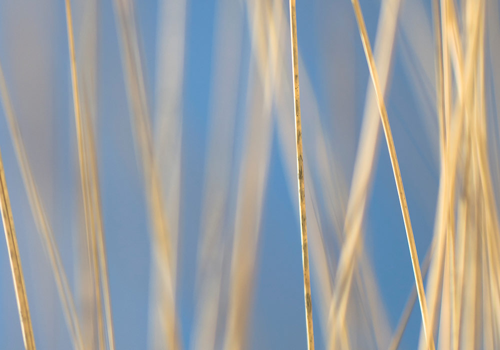 Spiekeroog Spiekeroog