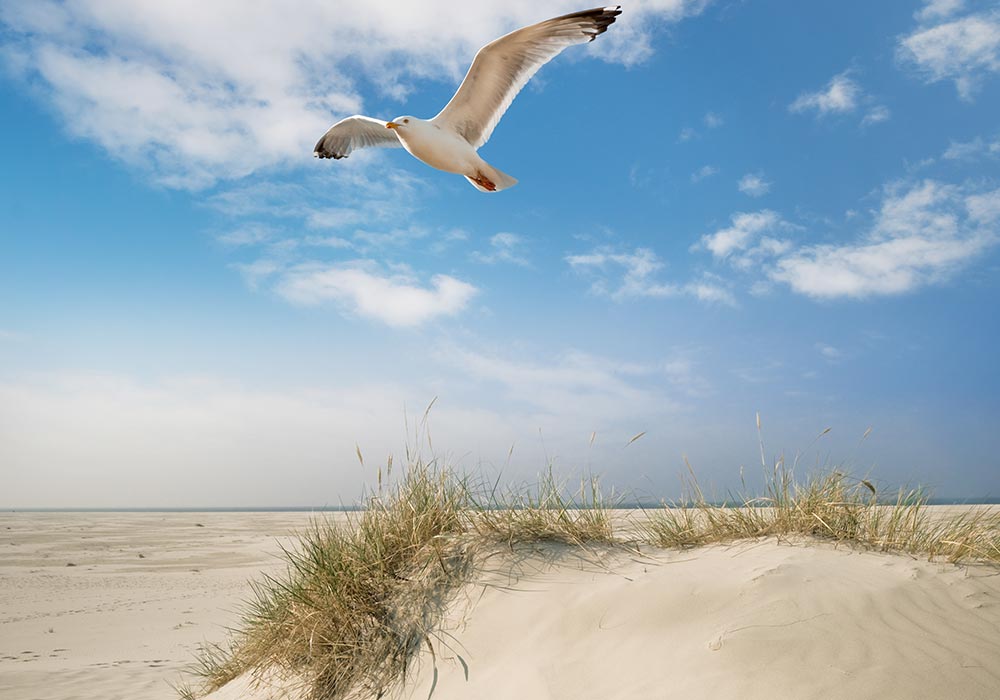Studienreise Spiekeroog im Sommer 2022 Studienreise Spiekeroog im Sommer 2022